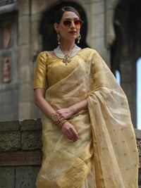 Best festive-wear handloom silk sarees in gold