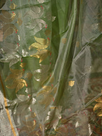 Chitrangada - Sage Green Chanderi Katan Silk Handloom Saree