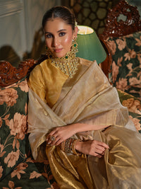 Hiranmayi - Cream & Gold Chanderi Tissue Silk Handloom Saree